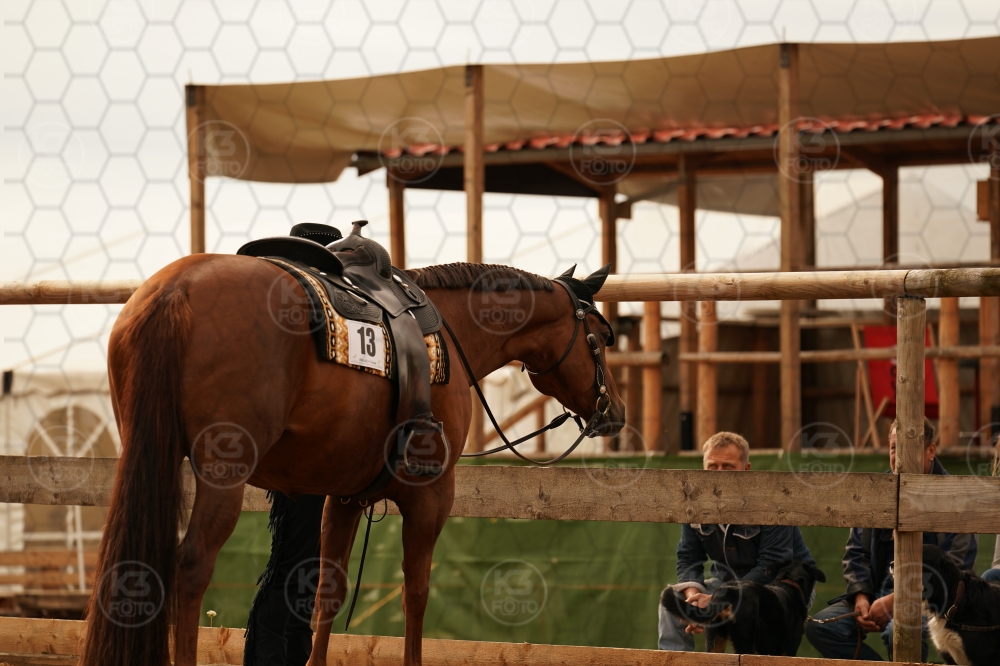 s_A9_08877.jpg